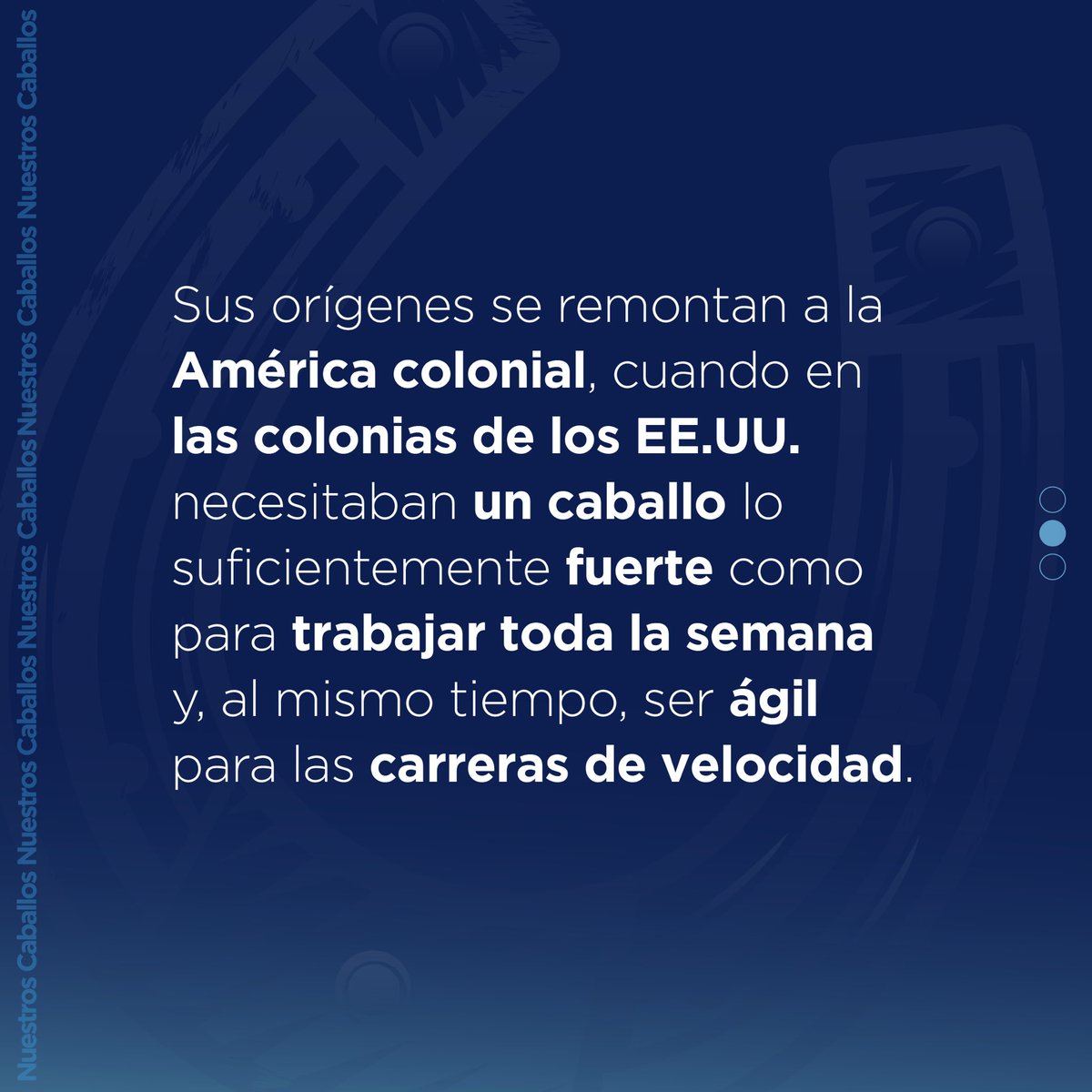 NCaballos's tweet photo. Velocidad, potencia y destreza se unen en el Cuarto de Milla. 🐴 

Viví su fuerza en #NuestrosCaballos2025 https://t.co/oNayTAVwss