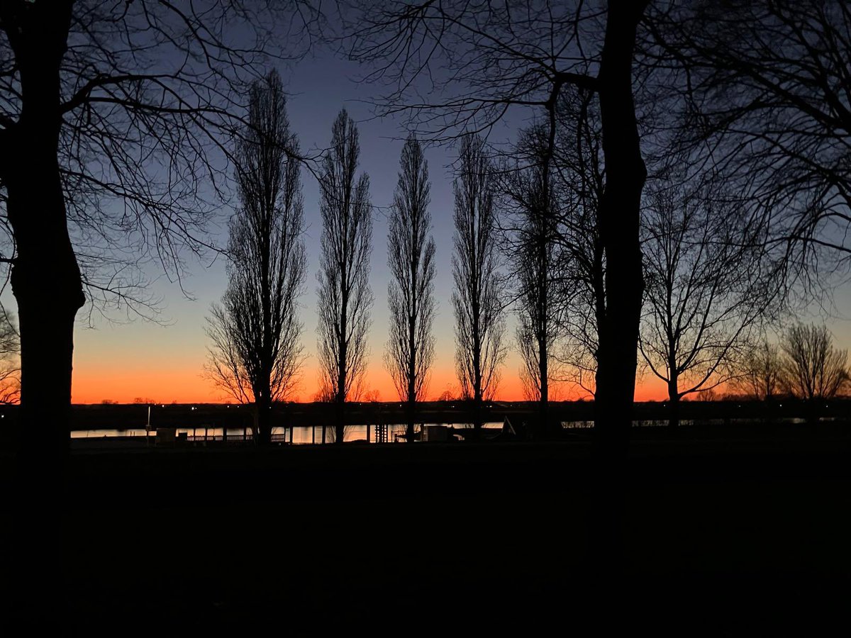What’s the story, evening glory … #wijhe