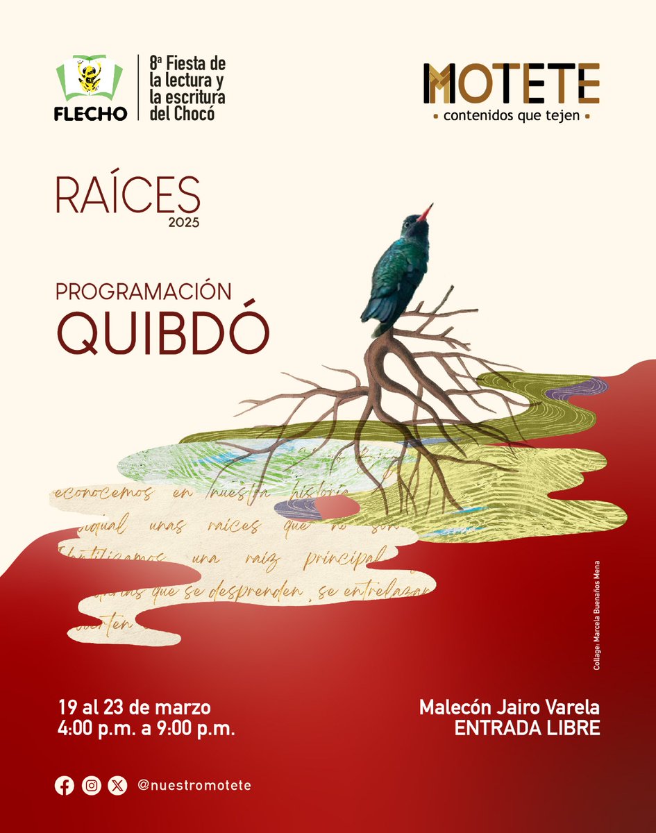 Velia Vidal tweet media