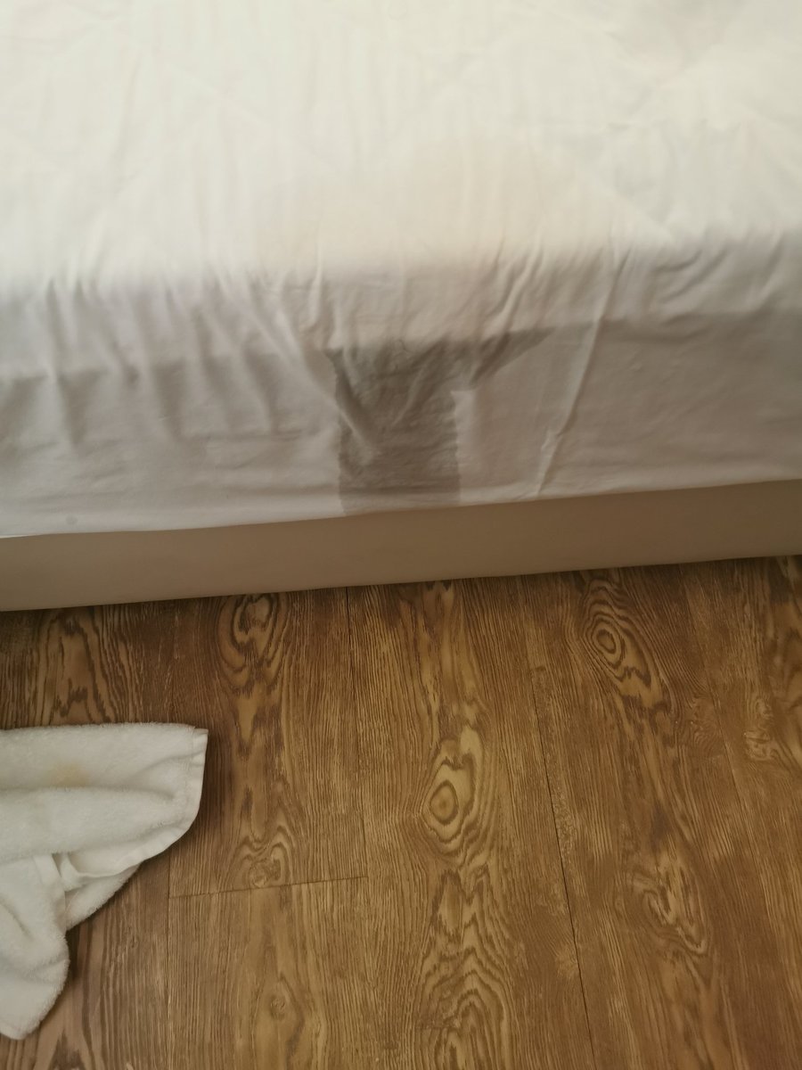 昨晚战况，有高颜值同好的夫妻情侣吗