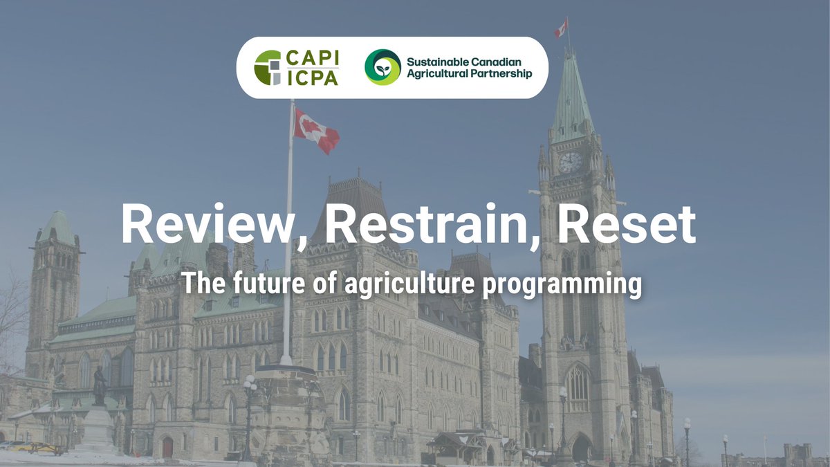 CAPI’s latest report, Review, Restrain, Reset: The future of agriculture programming, is now available. With budgets tightening, every dollar spent on #CdnAg must contribute to a more competitive, sustainable and resilient sector. Download the report: ow.ly/4JpX50Vkc5l