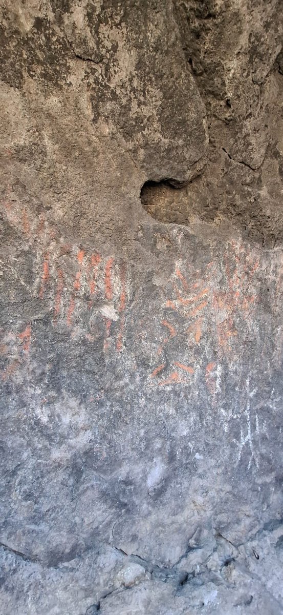 chechealumine's tweet photo. #Loncopue 🔴 Hallazgo de arte rupestre, restos òseos y puntas de flecha de miles de años encontrados en Chenque Pehuén.
📲 Ph Carla Porro 
#ArteRupestre #ExcavaciónArqueológica #PuntasDeFlecha #UniversidadDeMichigan #PatrimonioCultural #ArqueologíaArgentina #CienciaYPatrimonio https://t.co/IpLgZpeYau