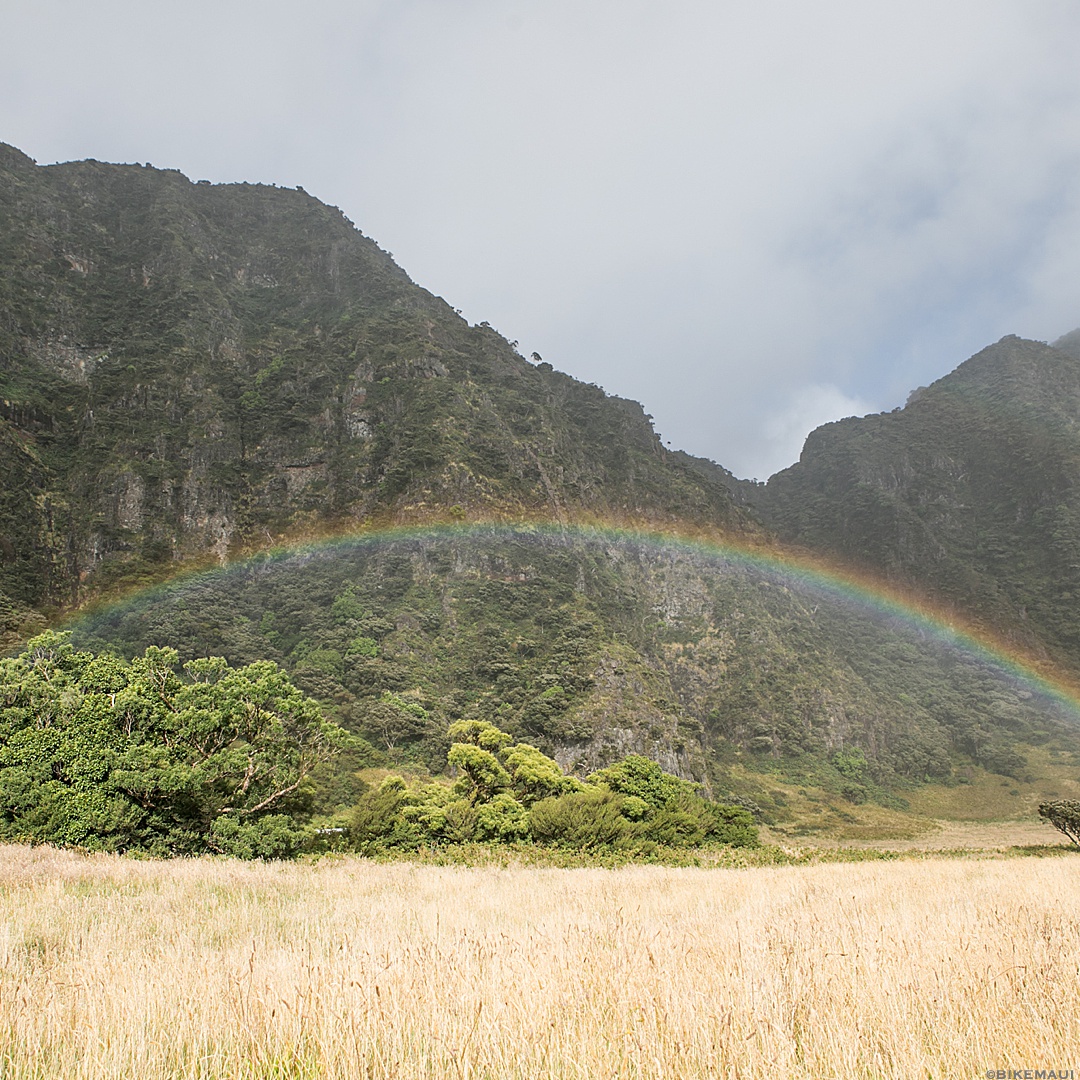 bikingmaui's tweet photo. Few people get to experience the magic of Haleakala backcountry. While our tours don't visit the backcountry, let's take a moment to appreciate it. https://t.co/z204YlakMR
