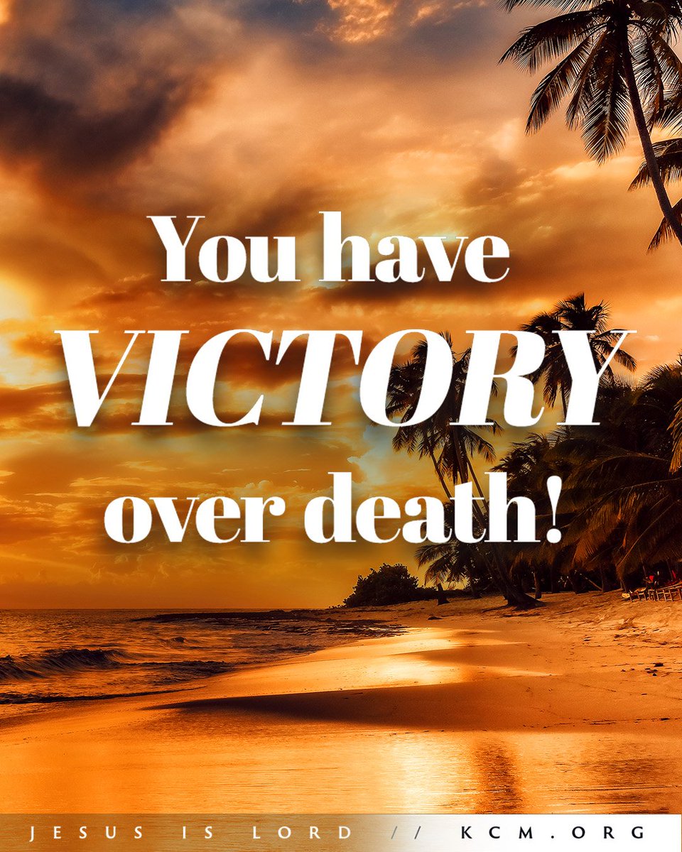 Jesus redeemed you from the curse, death and poverty with His sacrifice. Believe in and receive Him. Allow Him to correct you and change your direction; then, you will have protection and can move on to perfection. This is the victorious life you’ve been promised in Him! ✨