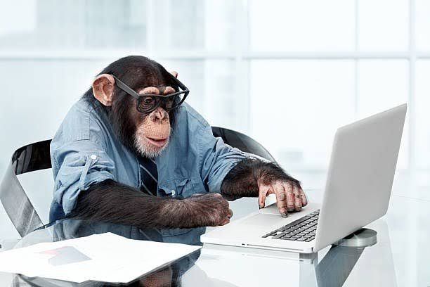 jdbuzzman's tweet image. Monkey Testing - A chance to test with the user some basics of the software system to find bugs. #monkeytesting #software #quality #bugs