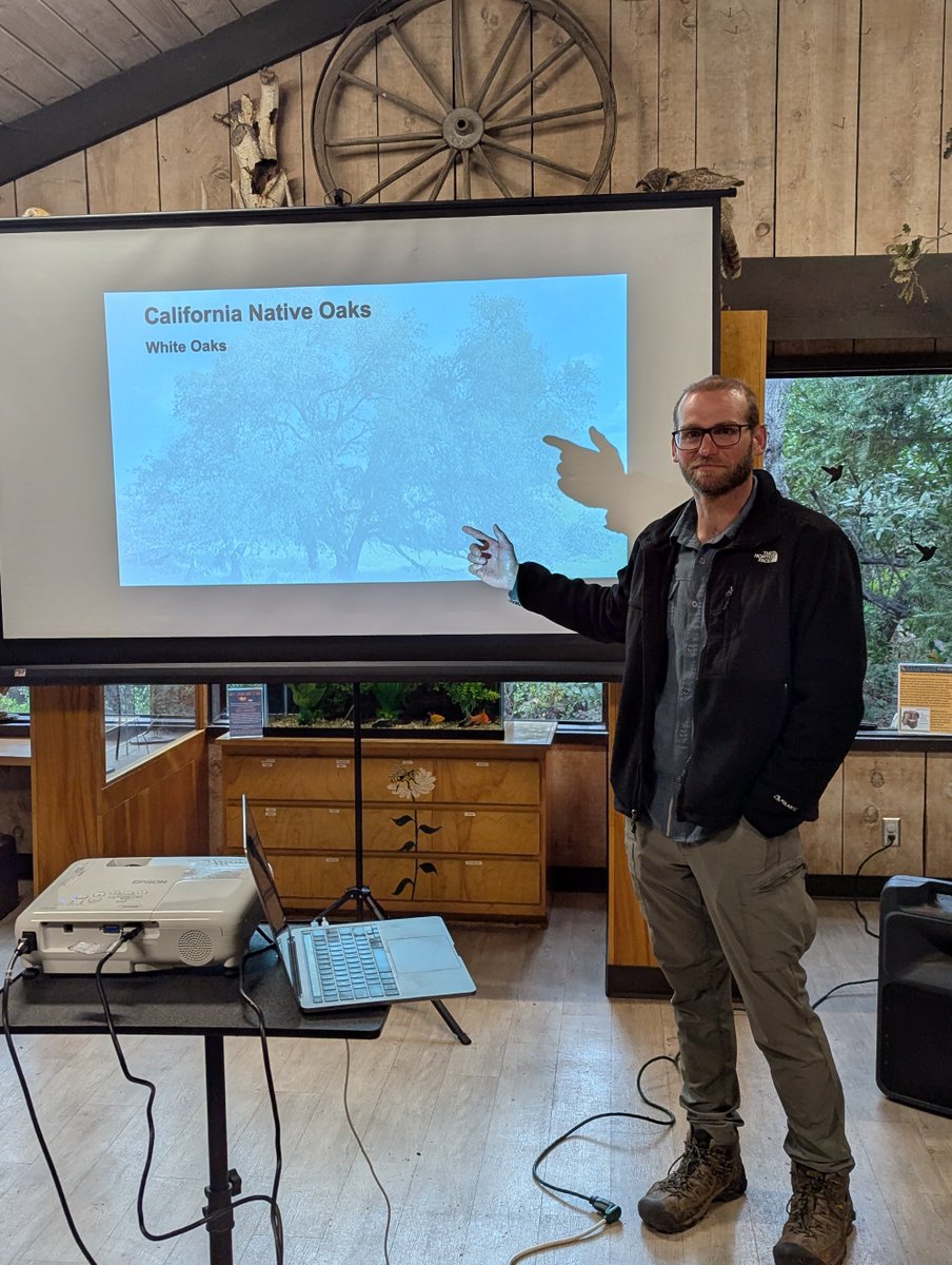 UC ANR advisors Drs. Beatriz Nobua-Behrmann and Chris Shogren led a workshop on Goldspotted Oak Borer and other oak pests and diseases for tree professionals from the Disneyland Resort and various partner organizations at Anaheim’s Oak Canyon Nature Center.