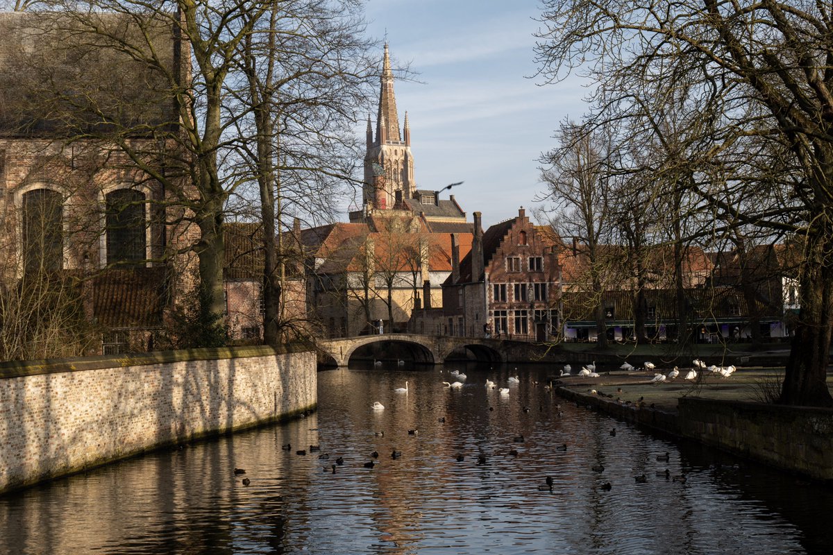 Raphael Barberi📷 tweet media