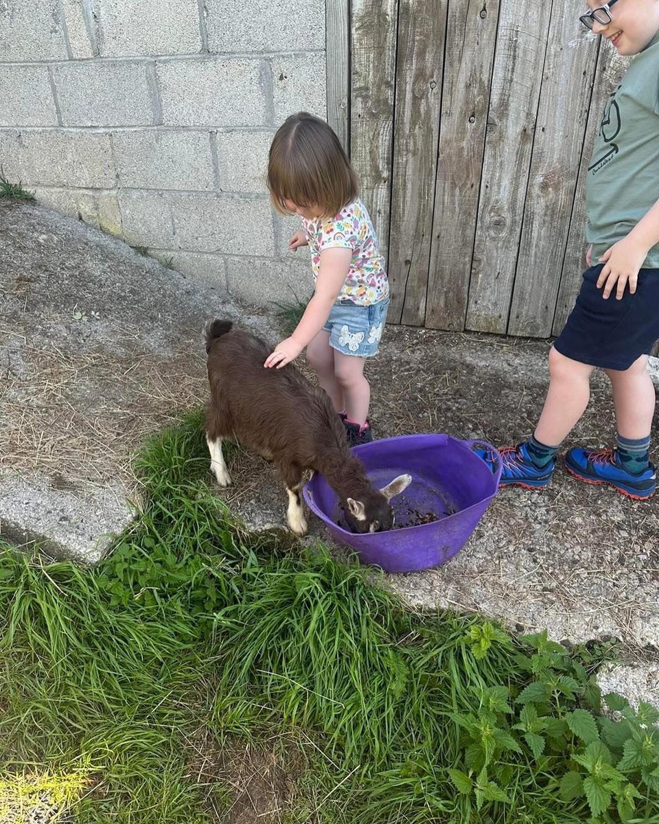 The farming mother tweet media