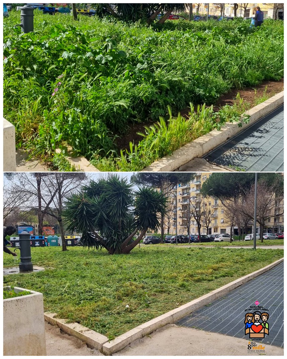 Retake_Roma's tweet photo. Sta arrivando la primavera e le piante crescono... una sfalciatina ci sta bene, no? Grazie ai volontari diRetake Roma per una Comunità Solidale.

#ottopermillevaldese #retakesolidale #Roma https://t.co/632H6eFr4k