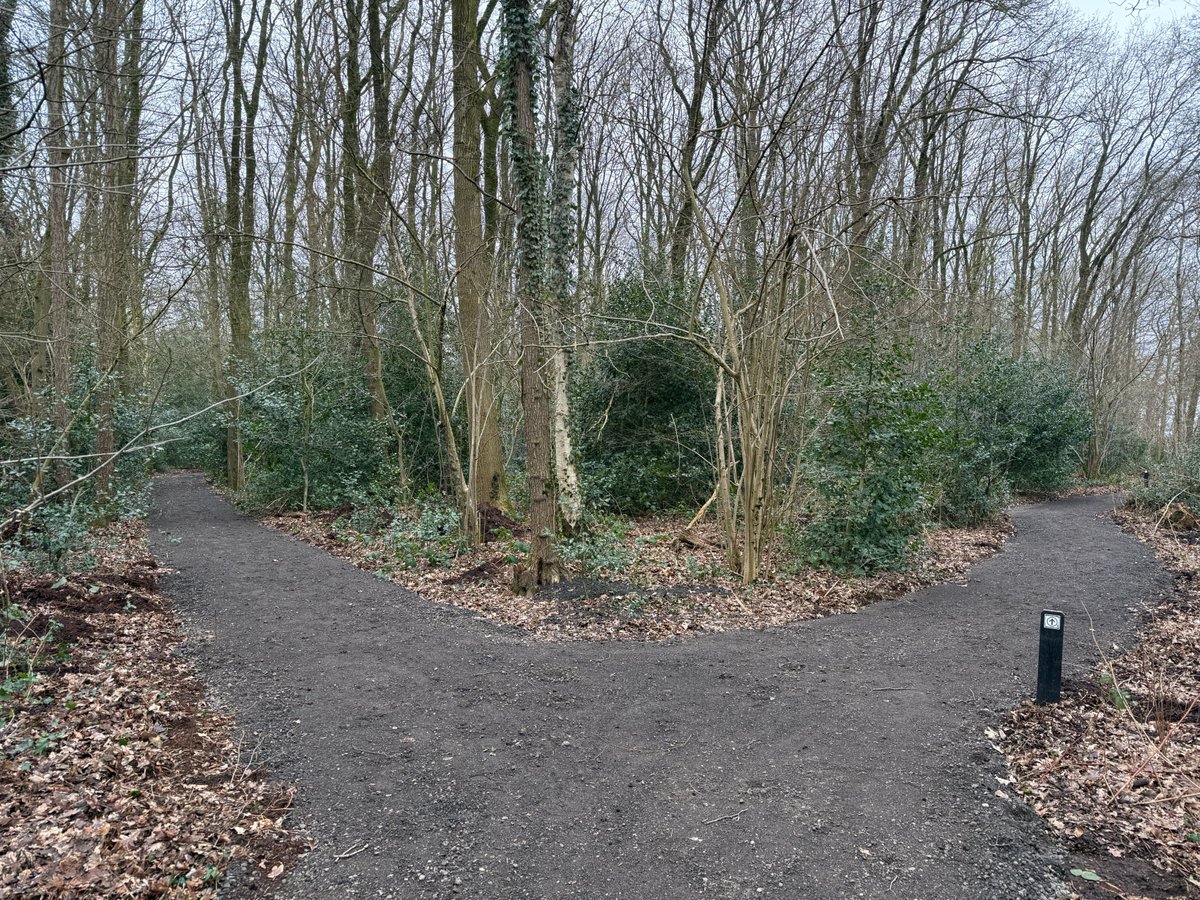 Gemeente #Hoogeveen erkent ecologische waarde oerbos Kinholtsbos en betreurt aanleg asfaltgranulaatpaden. Gesprek over herstel volgt. Kritische vragen PvdA en <a href="/GroenLinksHGV/">GroenLinks Hoogeveen</a>  werpen hun vruchten af.