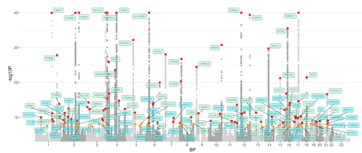 Mike A. Nalls (@mike_nalls) on Twitter photo Big Parkinson's news. Big open science. Check the preprint for the new GWAS from 100s of collaborators across the globe led by Hampton from our team <a href="/DataTecnica/">DataTecnica LLC</a>. >1.8 samples and 157 risk variants. Big Parkinson's news. Big open science. Check the preprint for the new GWAS from 100s of collaborators across the globe led by Hampton from our team <a href="/DataTecnica/">DataTecnica LLC</a>. >1.8 samples and 157 risk variants.