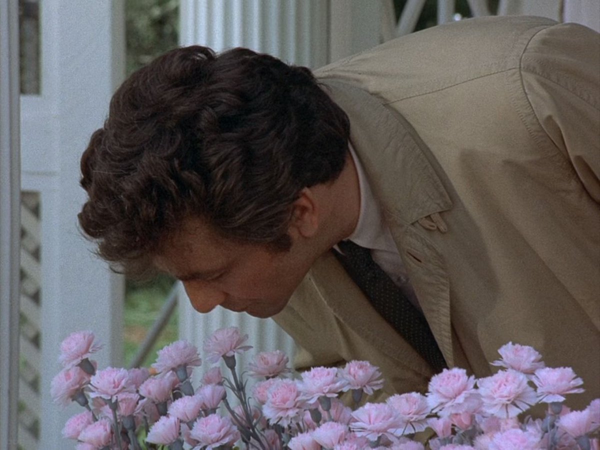 columbo screenshots (@columboscreens) on Twitter photo 