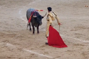 Estas son (ERAN en CDMX) de las poses que más odio en esta pseudo fiesta.
Después de debilitarlo, asustarlo, engañarlo y herirlo entre varias personas, el tipo se le para enfrente como:
-"Ven, atácame, a mí con armas, que te estoy matando, sólo porque puedo y quiero"
SE ACABÓ