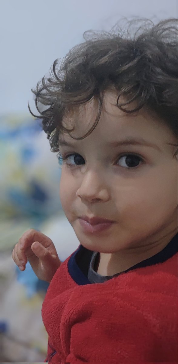 Ridalagrini's tweet photo. سألت ابني بعد ان شاهد صغار الفلسطينيين مقتولين جراء القصف ماذا يجب أن نفعل لليهود؟ فقال بعد بضع ثواني فقط وهو غاضب يجب قتلهم جميعا!!! 
نعم.. إنها الفطرة يا مسلمين فأين الفطرة من حكامنا
وأصحاب القرار
#غزة_تحت_القصف
#غزة https://t.co/ynDKFpTZaV
