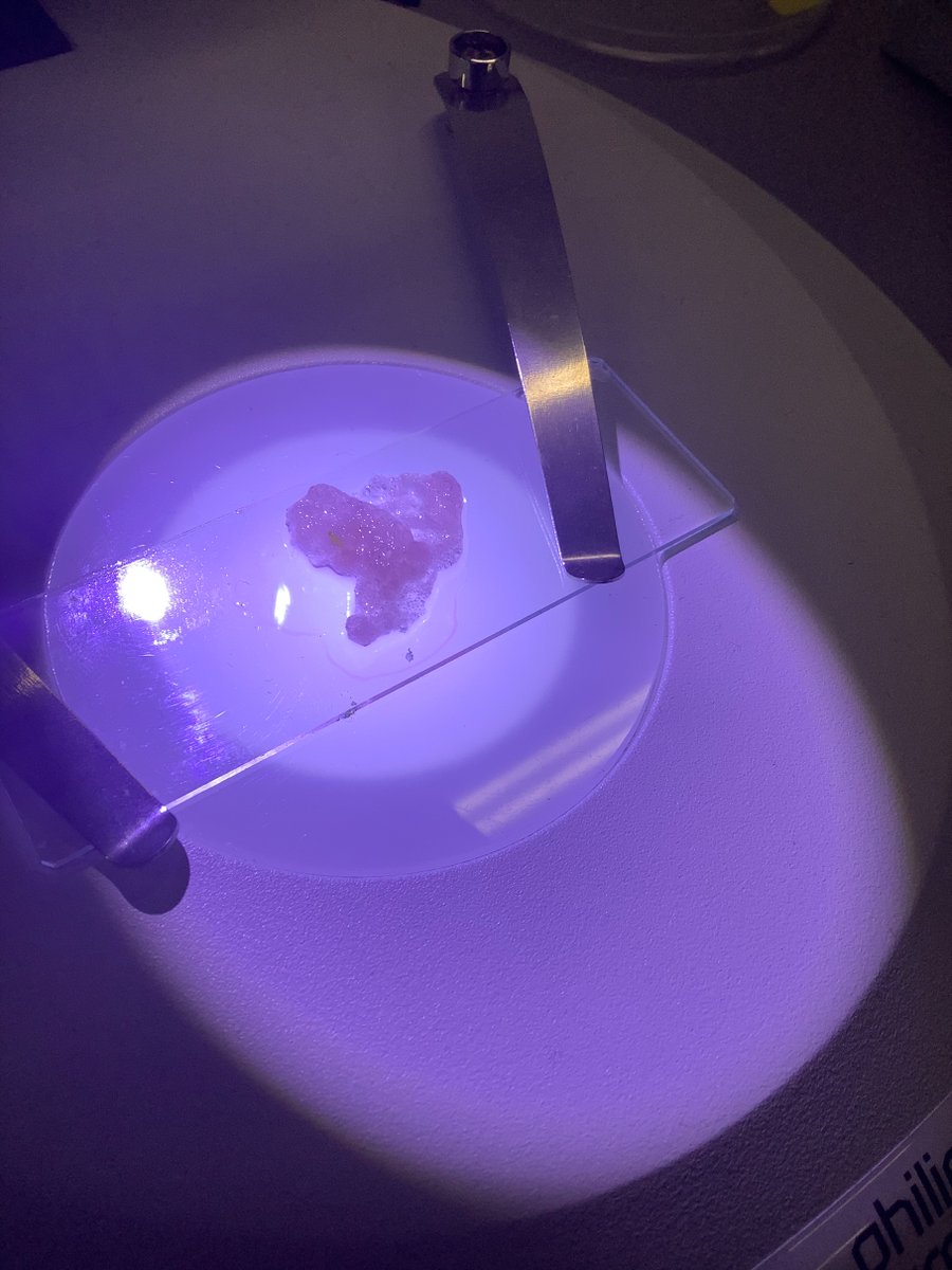 Science in action! 🧬Our talented GCSE students successfully extracted DNA from strawberries - yes, that slimy substance under the microscope is the blueprint of life! 🤓👩‍🔬🧪#Autism #WhereEverythingsPossible #WeAreEACT