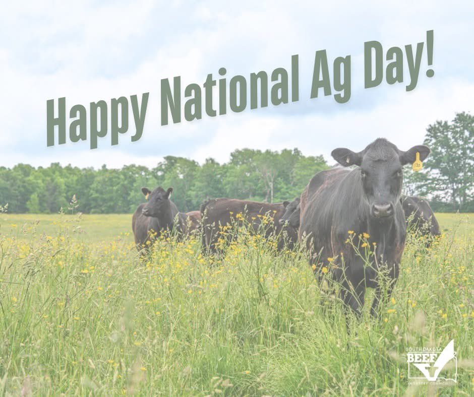 Happy National Ag Day from the South Dakota Beef Industry Council. 

Today we are thankful for our Beef Farmers and Ranchers who continue to provide a high-quality beef product day after day! 

#SDBeef #NationalAgDay