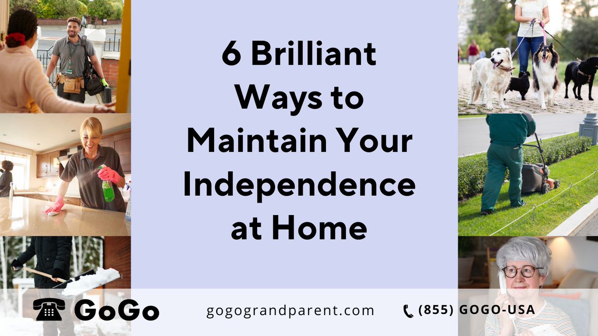 GoGoGrandparent tweet media