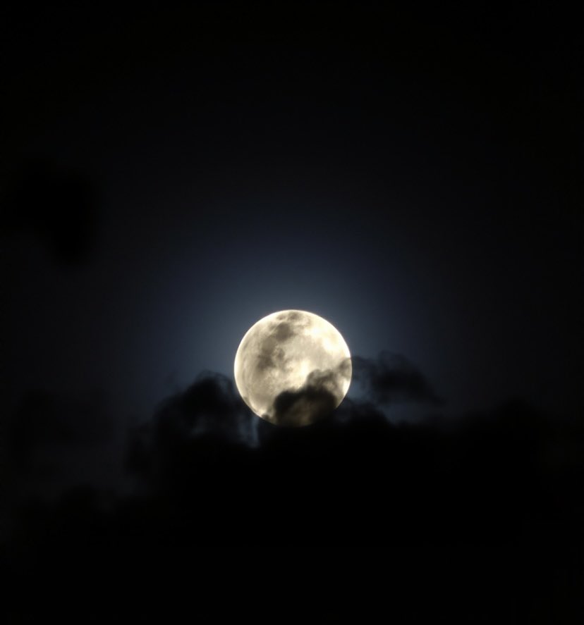 aaaab_aaaabb's tweet image. Eyes on the stars, heart full of wonder.