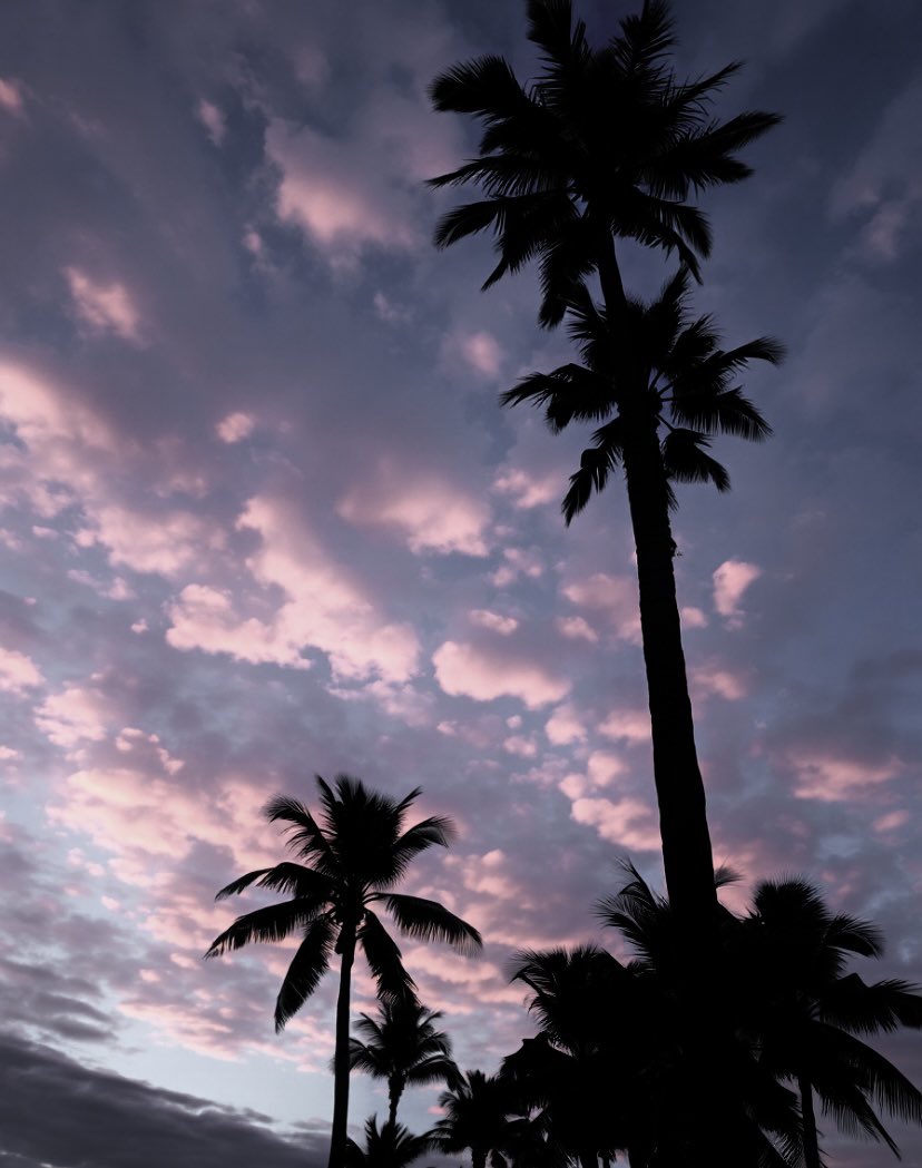 aaaab_aaaabb's tweet image. Stars make the night alive.