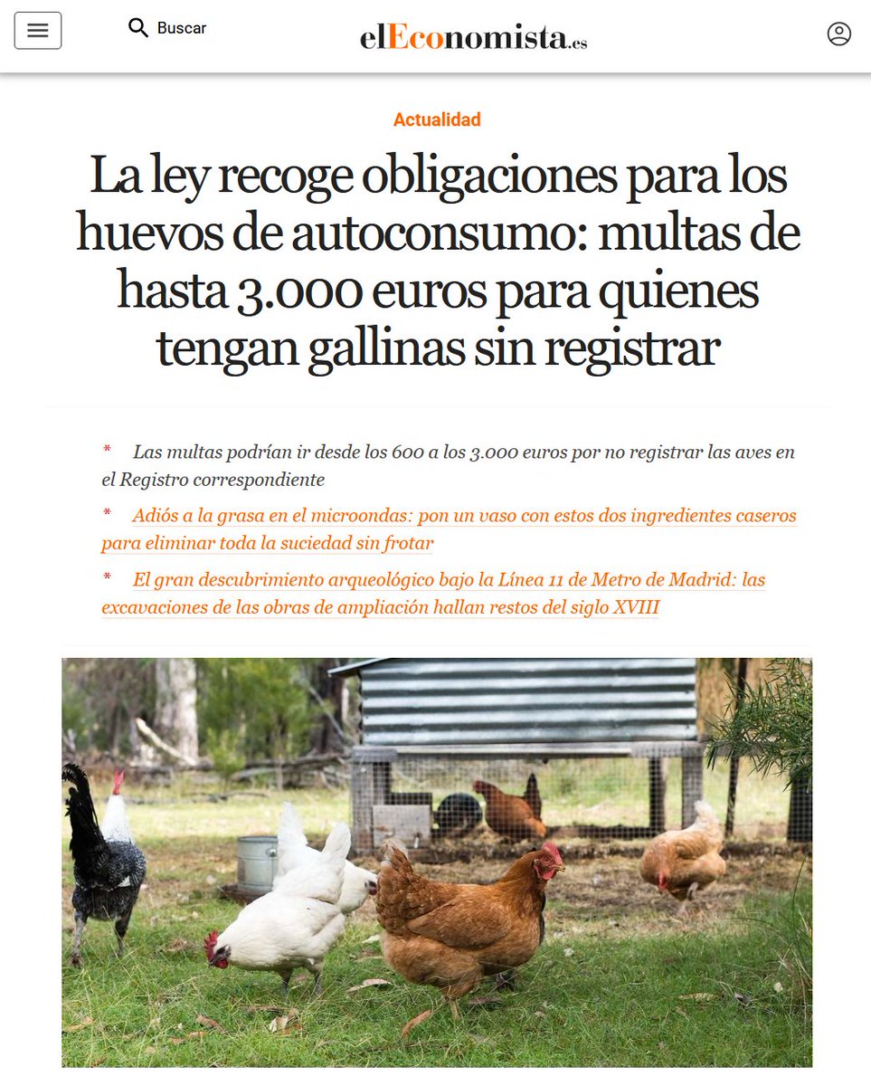 GabiPizarro12's tweet image. He registrado a las gallinas y no tenían nada escondido. Ni un botellín. Ya cumplo la ley.