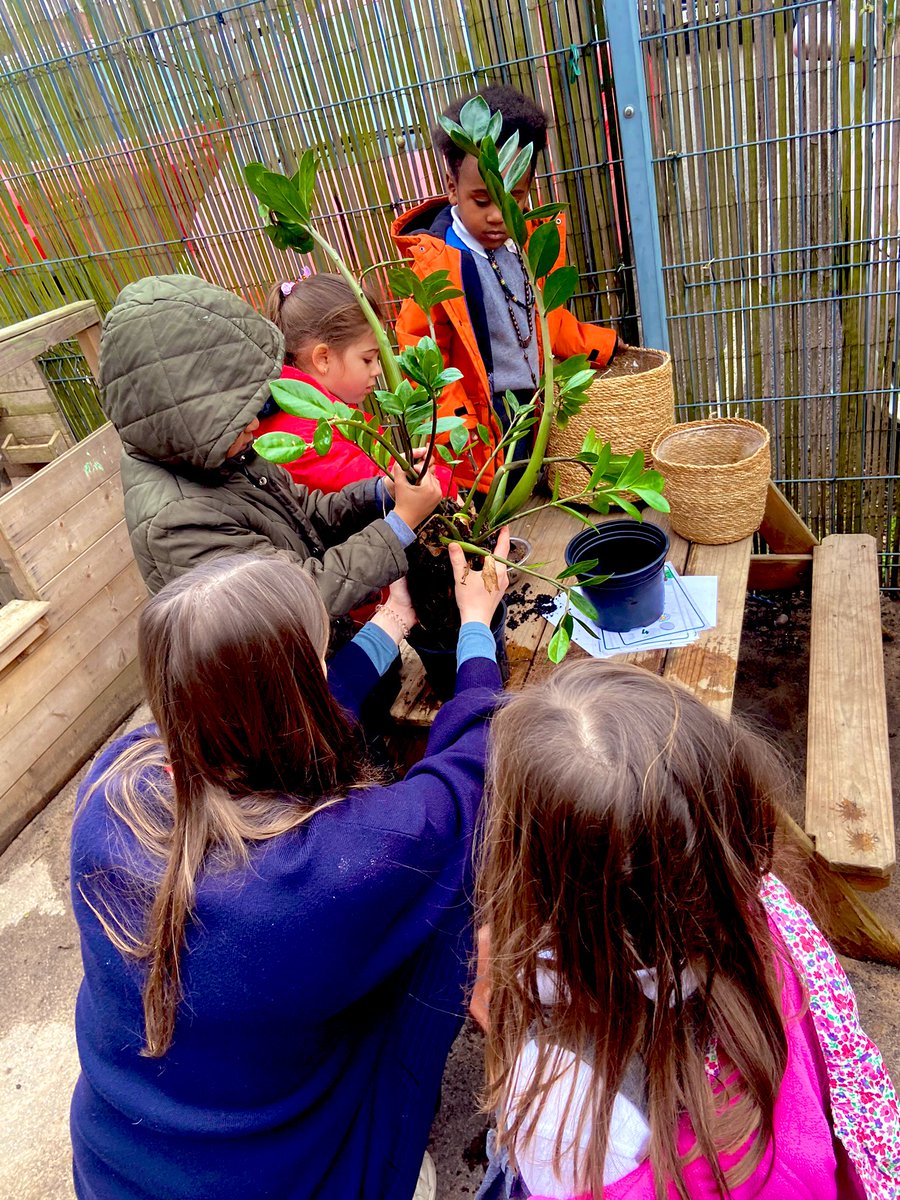 JoPetersEYFS's tweet image. Proud to hear and see our children care for Gods creation. We’ve planted daffodils of hope and we’ve been busy saving plants. 
@RCDivineMercy #outdoorlearning 
#learningthroughnature