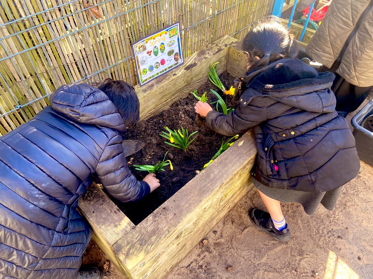 JoPetersEYFS's tweet image. Proud to hear and see our children care for Gods creation. We’ve planted daffodils of hope and we’ve been busy saving plants. 
@RCDivineMercy #outdoorlearning 
#learningthroughnature