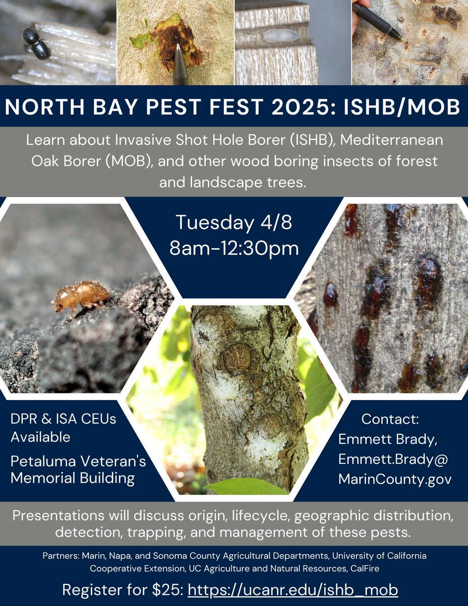 In Northern California? Join us April 8 at the North Bay Pest Fest 2025 at the Petaluma Veteran's Memorial Building to learn about Invasive Shot Hole Borer (ISHB), Mediterranean Oak Borer (MOB), and other wood boring insects of forestland landscape trees.