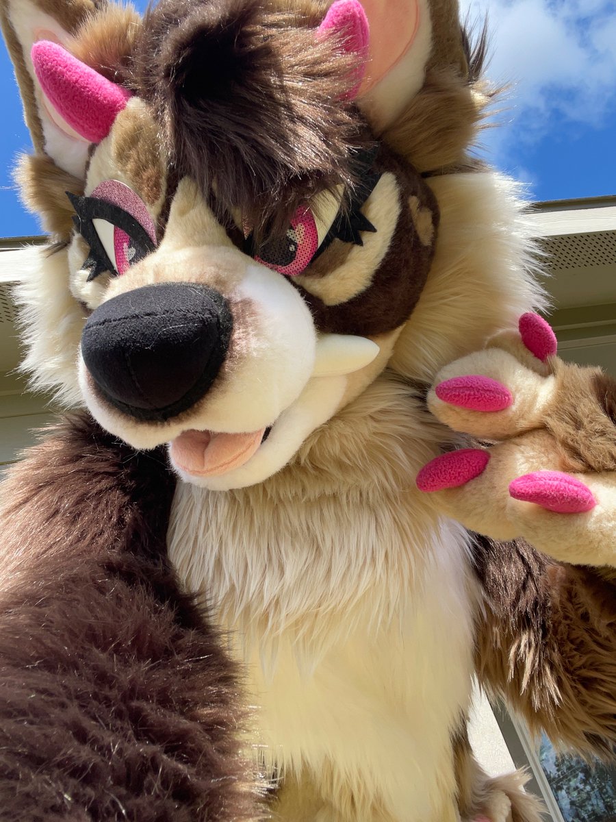 Barks at you 💖