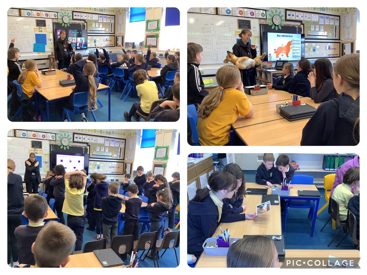 Diolch i Sarah o <a href="/sarah_cwnclyfar/">Sarah Wilkinson</a> am ddod i siarad gyda ni heddiw 🦮🐕‍🦺