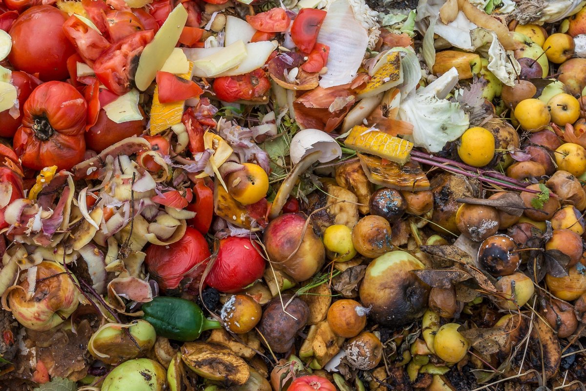 Vanguard Renewables tweet media