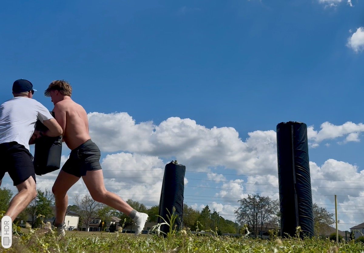 Austin Mosedale tweet media