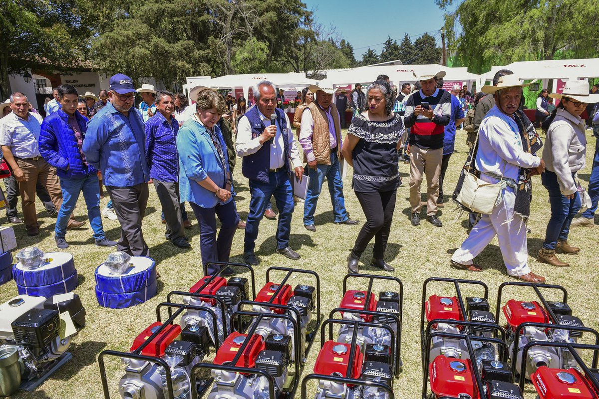 delfinagomeza's tweet image. 🚜👨🏽‍🌾 Transformar al campo es proteger y promover nuestra identidad y soberanía alimentaria. Pueden imponer aranceles, pero no se pueden llevar nuestro campo.
Al premiar la excelencia agroecológica en el Primer Concurso de Maíz Nativo y Amaranto del #EdoMéx, reafirmamos el…