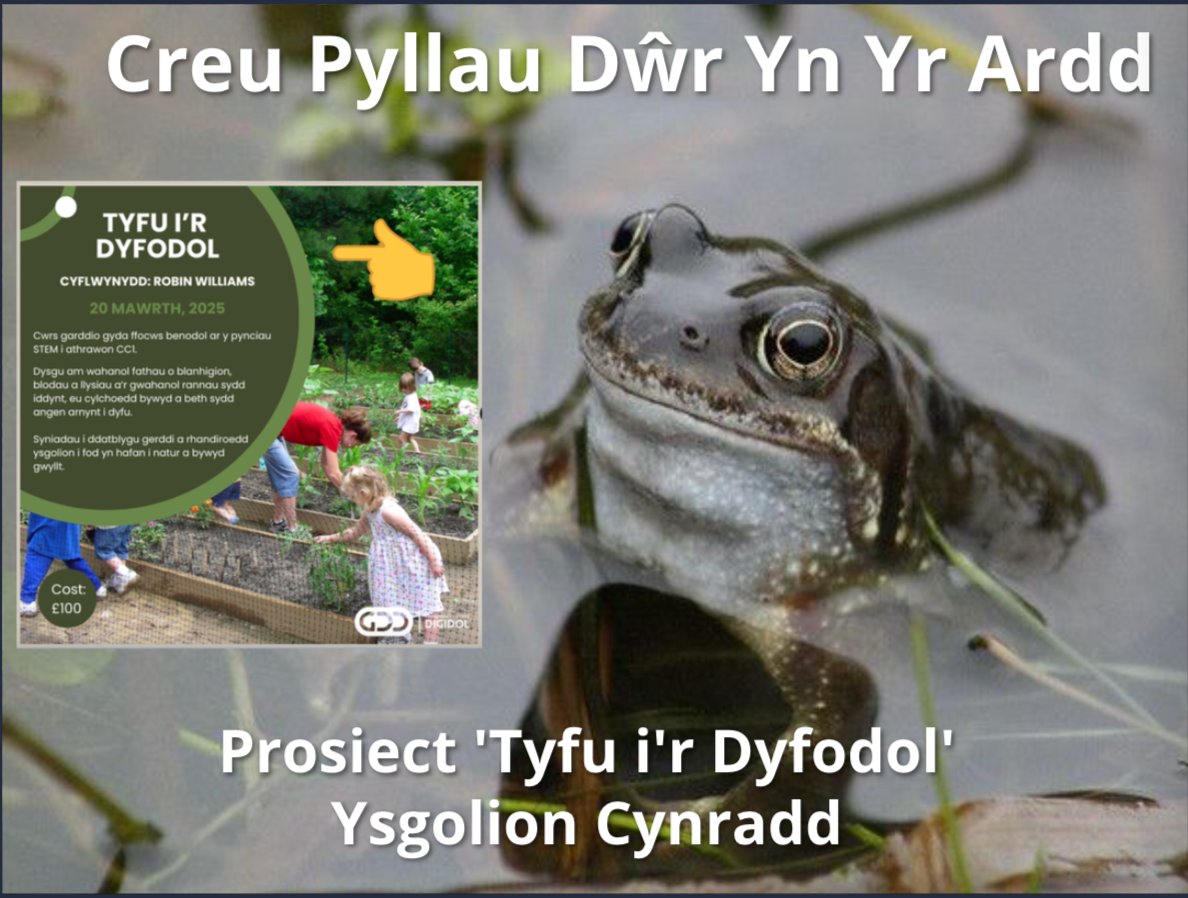 Croeso i'r Gwanwyn !
Cyrsiau Newydd i ddathlu'r Gwanwyn !
Dydd Iau Maw 20 ed 2025
Cwrs 1 : Tyfu i’r dyfodol - Prosiect Garddio 
Cwrs CPA ar-lein drwy TEAMS - ar gyfer athrawon Cam Cynnydd 1  Cyflwynydd: Robin Williams
youtube.com/playlist?list=…