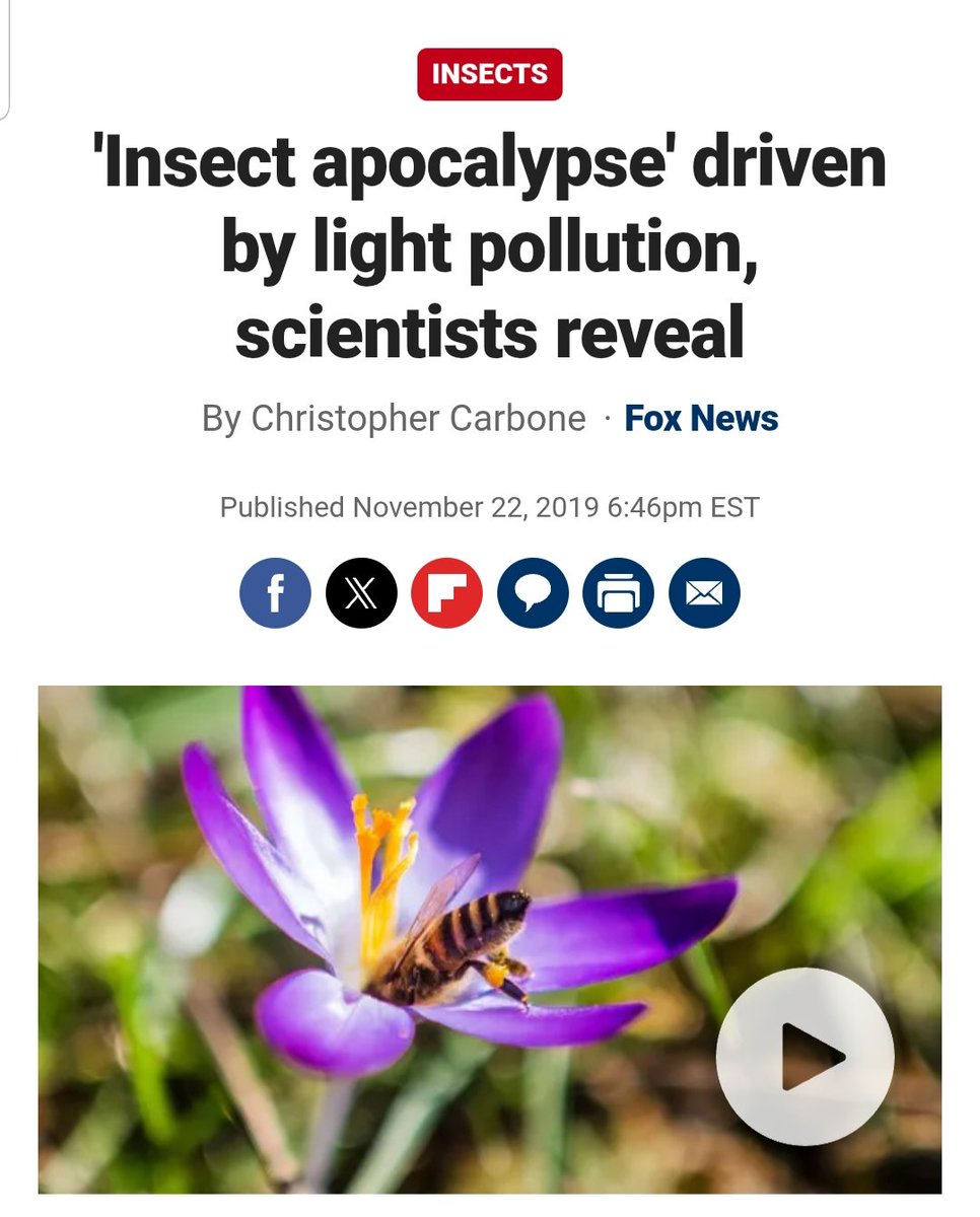 BREAKING:  despite scientists' dire warnings in the 2010s global light pollution is now "skyrocketing"