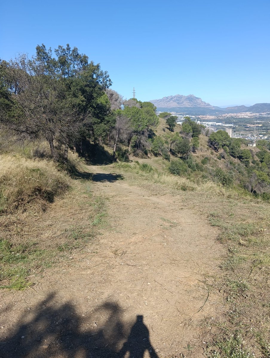 adfmartorell's tweet photo. Contents de que les feines de manteniment i neteja que fem de forma voluntària, permet als cossos d'emergència  actuar amb la major ràpidesa i seguretat possibles així com un bon accés fins l'emergència tal i com ja va passar a l'incendi  forestal del juliol de 2021 a #Martorell. https://t.co/uAReCRyDz0