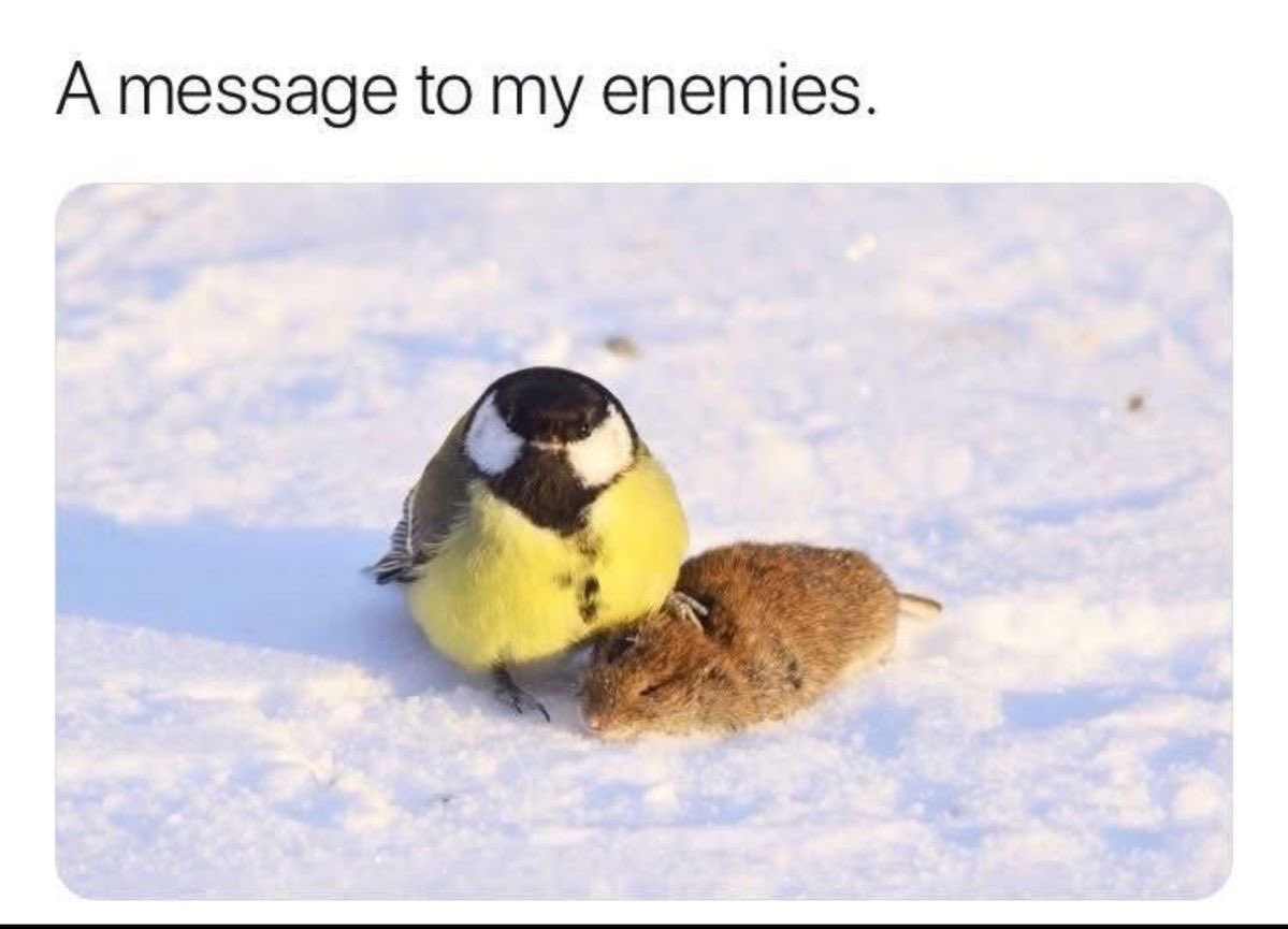 twaniimals's tweet photo. https://t.co/2X7JkQBG6S