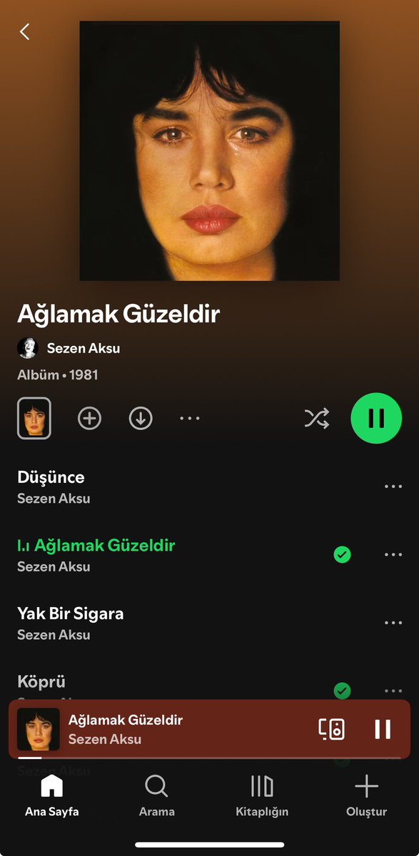ben ve albümüm