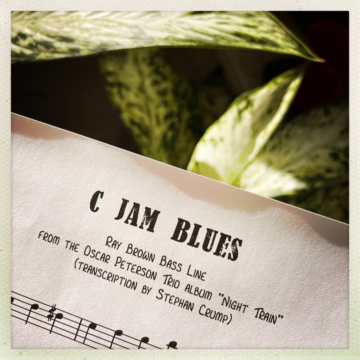 just uploaded to my store a free transcription for you of this classic Ray Brown bass activity on "C Jam Blues" from the Oscar Peterson Trio "Night Train" album. Enjoy...
stephancrump.com/store
