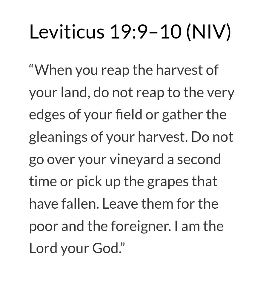 Planet in Crisis (@climate_issues) on Twitter photo <a href="/jennycohn1/">JennyCohn βπ» π’</a> The Bible contains many verses about helping the poor and the vulnerable. How can Trump claim to be Christian? <a href="/jennycohn1/">JennyCohn βπ» π’</a> The Bible contains many verses about helping the poor and the vulnerable. How can Trump claim to be Christian?