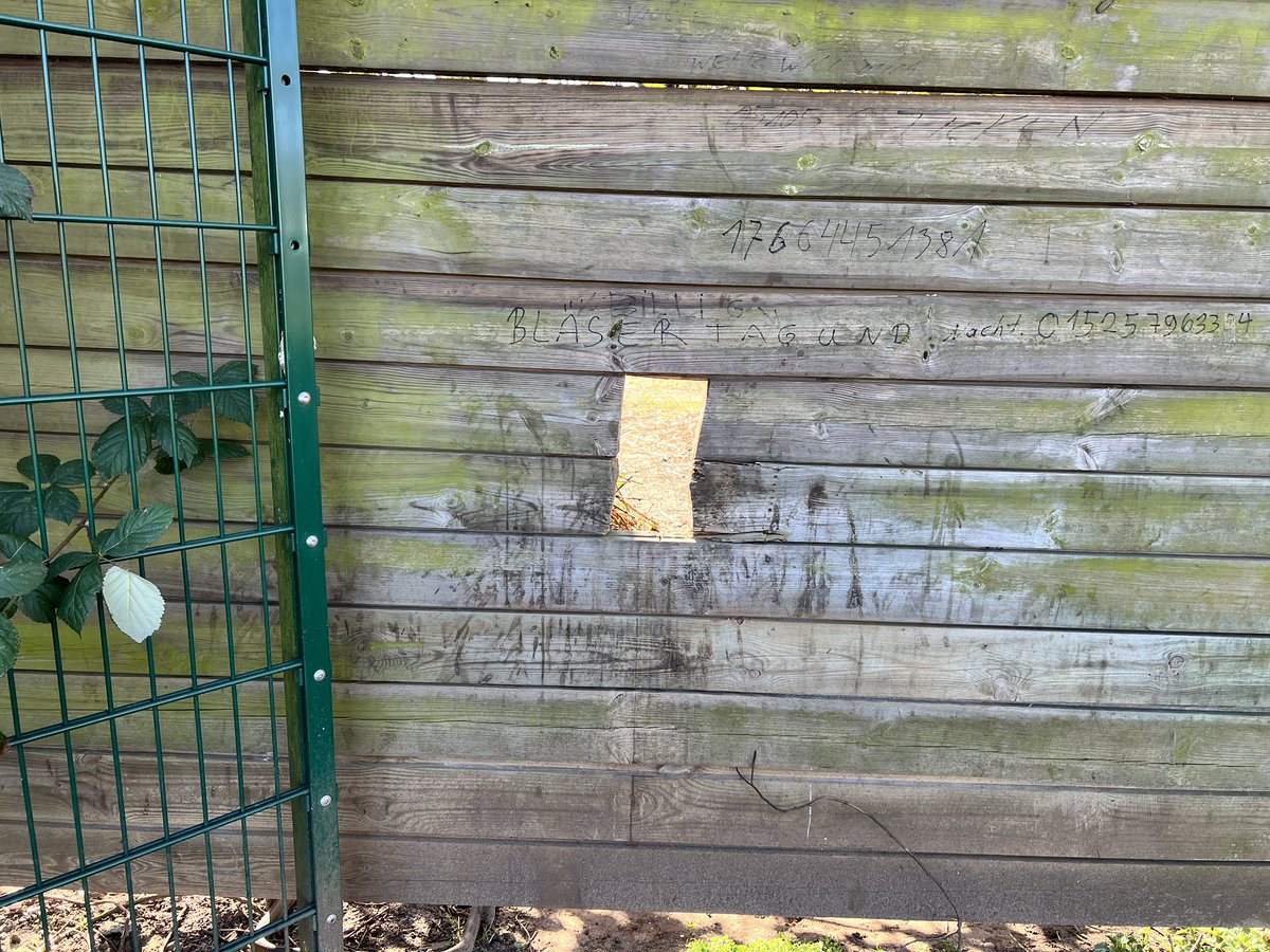 TheFlufferXL tweet media