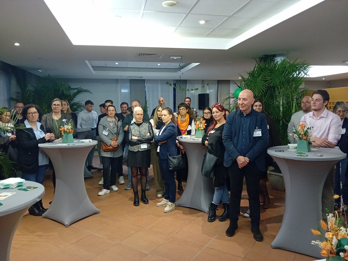 DSDEN 82 tweet media