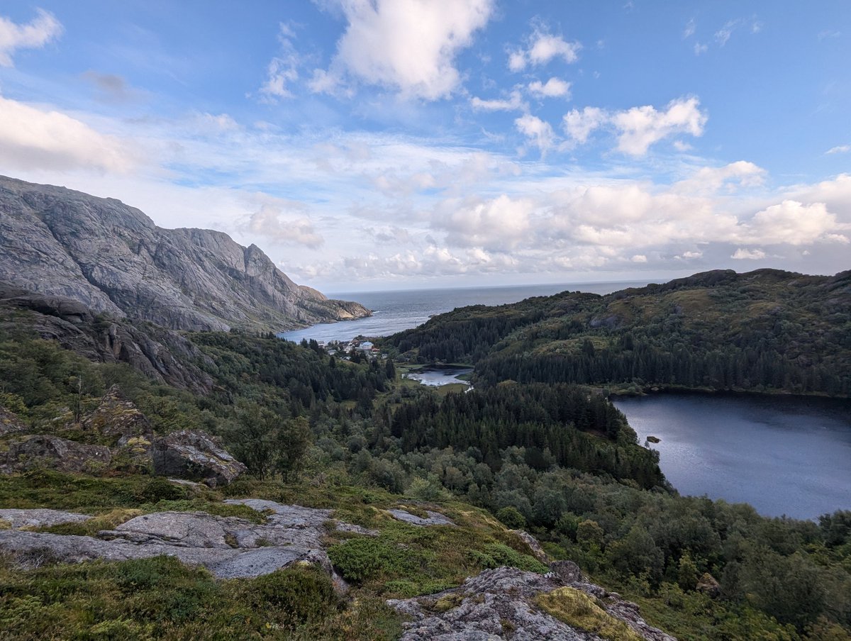 solcorporal's tweet image. late gm warriors 🪖

who's working hard this Tuesday 📈