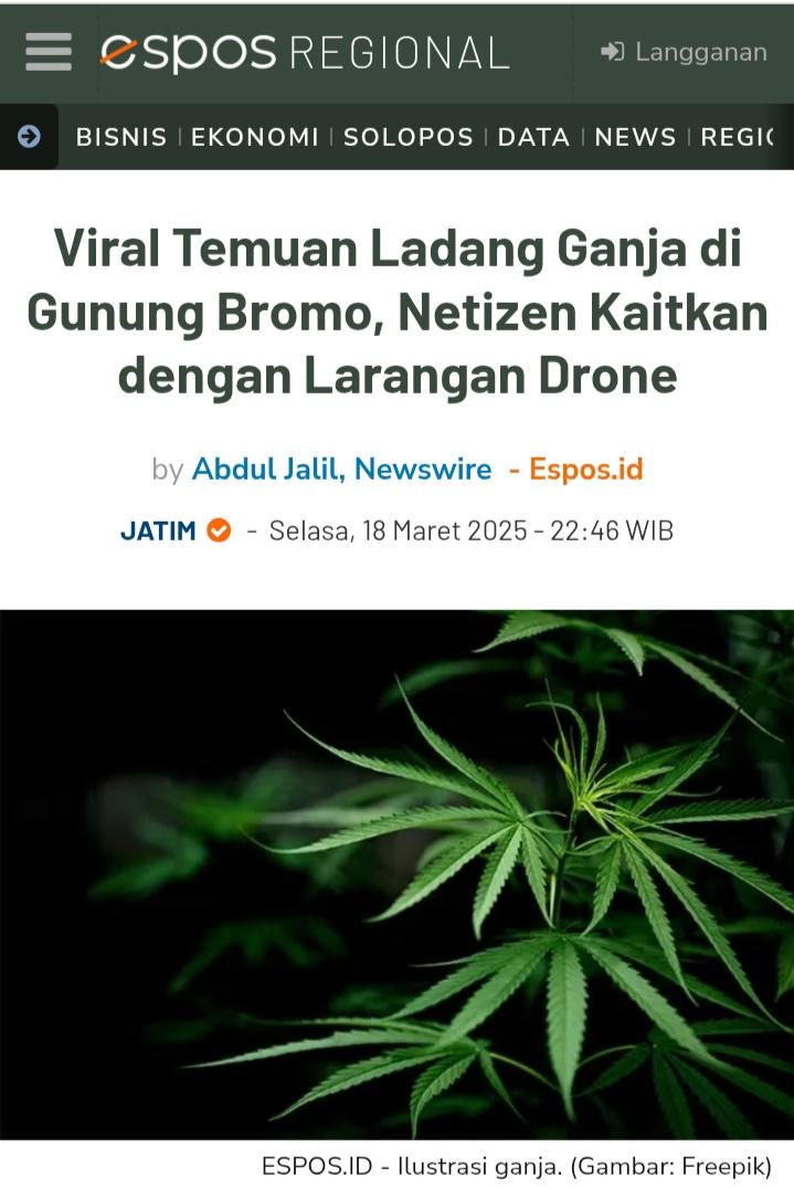 <a href="/txtdrimedia/">txtdrimedia</a> Jangan lupa siapkan bibitnya