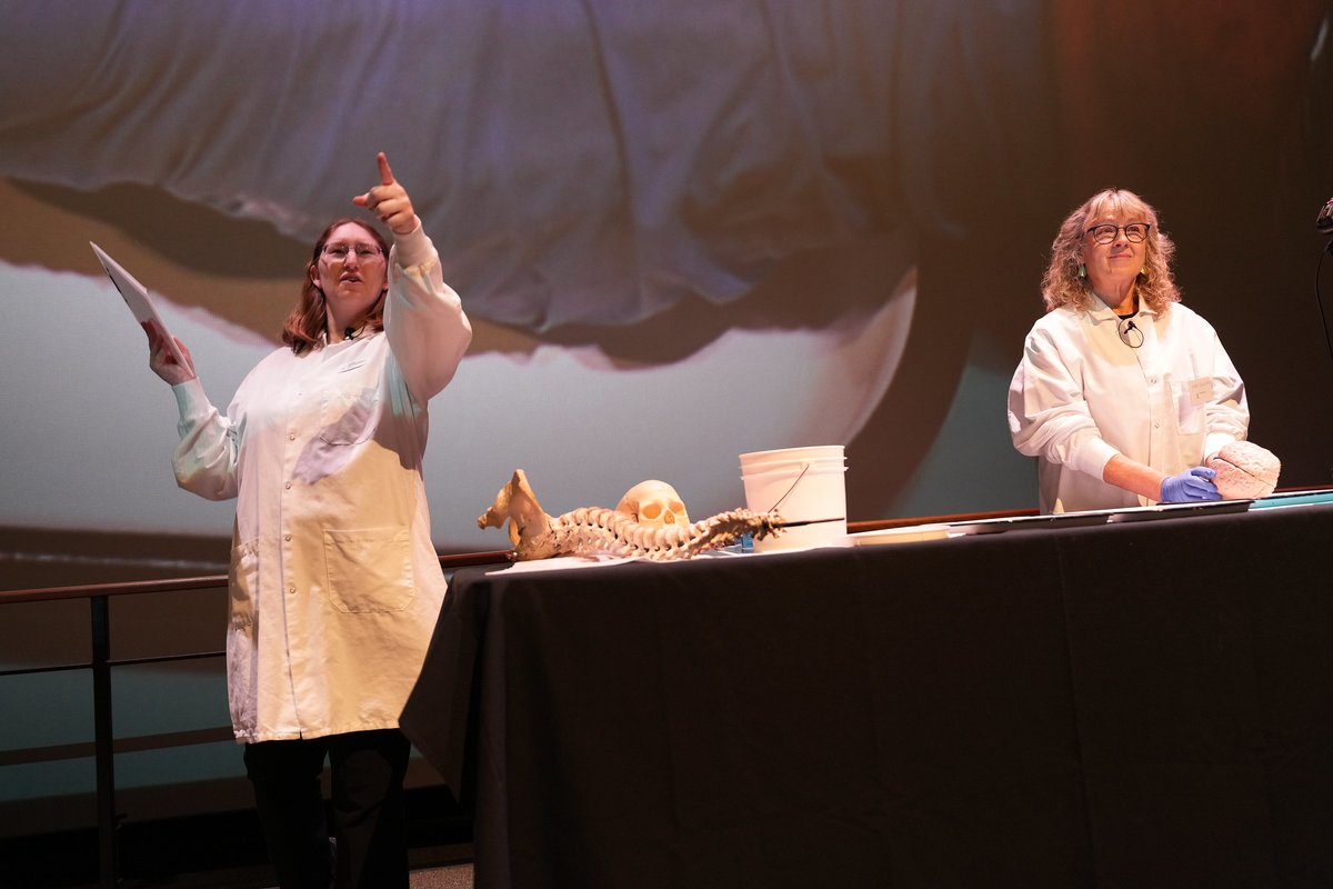 AllenInstitute's tweet photo. BrainFest at Pacific Science Center rocked! 🧠 ⚡️ 🤘

Thank you to all the young scientists who joined our cerebral celebration and all the volunteers, including from our partners at @UWMedicine, @UW, @ISBsci, and many more!

#BrainAwarenessWeek #brainfest https://t.co/AW2svevXon