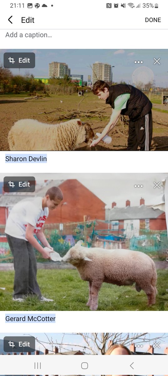 Today We done a 10 year photo reshoot with young people who helped us get the Farm started.