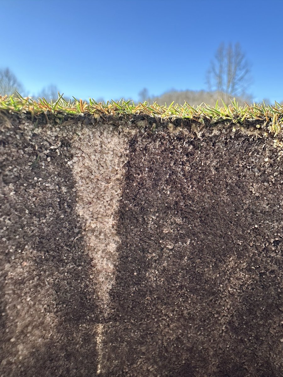 WarriorsPathGC tweet media