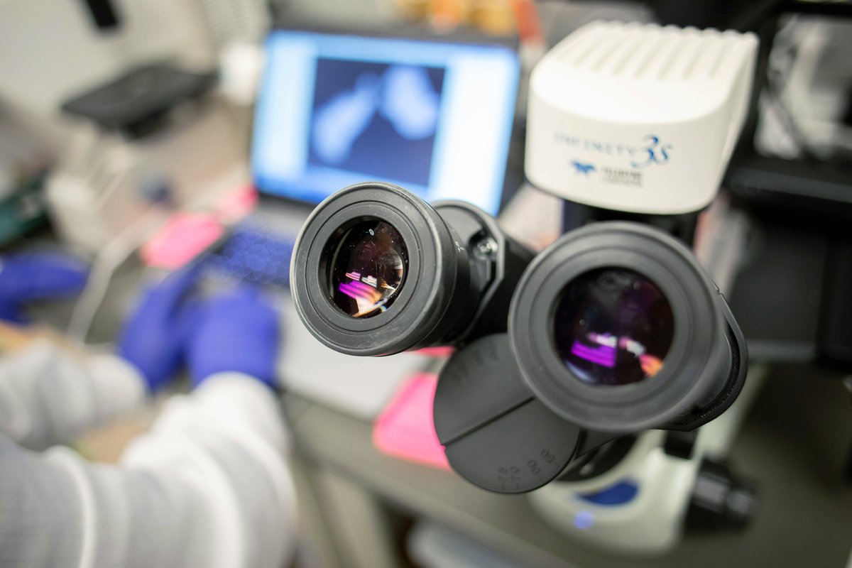 Research fellowship opportunity: We are accepting applications for a 2025 NIH T32 funded research fellowship to prepare anesthesiologists and related specialists for academic research careers! Learn more: tiny.ucsf.edu/UCSFAnesT32 #t32 #Fellowship #research #NIH #AcademicResearch