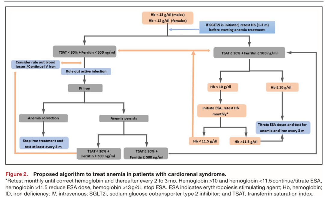 Propuesta para manejar la anemia en síndrome cardiorrenal, llama la atención los valores de ferritina y saturación de transferrina, más similares a las guías KDIGO que a las de Cardio, además de preferir repletar hierro vía intravenosa a la oral

JAHS 2025
10.1161/JAHA.124.037363