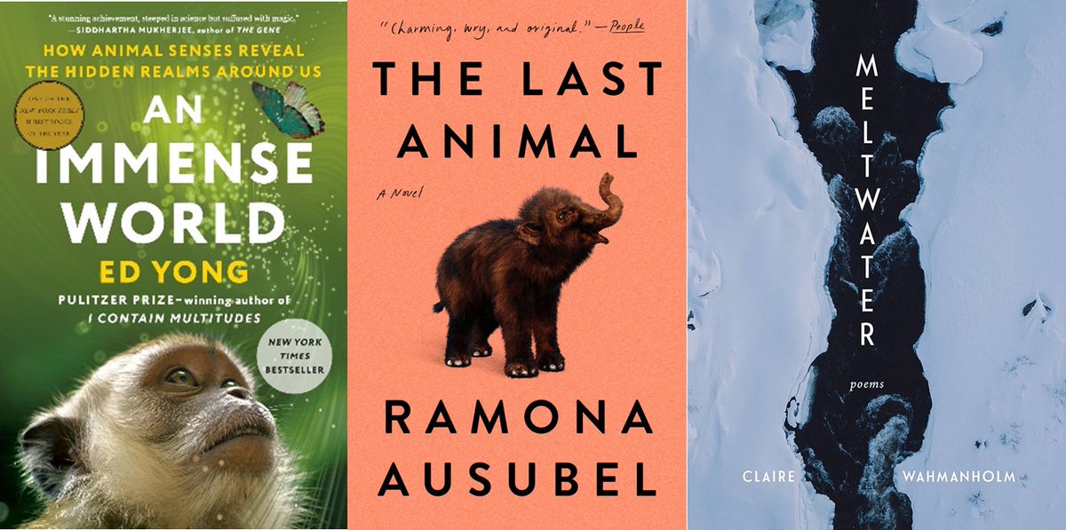 DoronWeber's tweet image. My latest @SloanPublic program updates!
sloan.org/storage/app/me…
Our wonderful grantees include: @ESTnyc @nationalbook @ramona_ausubel @edyong209 @sundancefest @sundanceorg @xtinatini @Uncannygirl @Astro_Cady @ASAKOGLADSJO @MovingImageNYC @Athenafilmfest @TIFF_NET @WCSFP