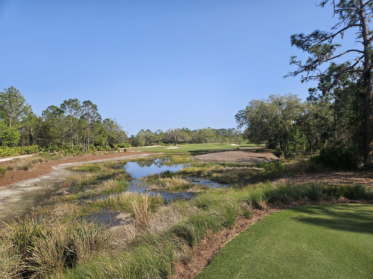 Rick Stauffer tweet media